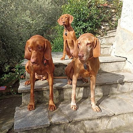 Bed and Breakfast A Casa Di Grea Rapallo Exterior foto